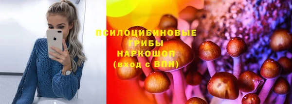крисы Алексин