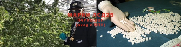 крисы Алексин